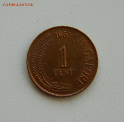 Сингапур 1 цент 1981 г. до 19.11.19 - DSCN9893.JPG