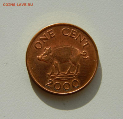 Бермудские острова 1 цент 2000 г. (Фауна). до 19.11.19 - DSCN9970.JPG