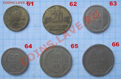 ЭКЗОТИКА!!! МНОГО ВСЯКОЙ РАЗНОЙ!!! ПОСТОЯННОЕ ПОПОЛНЕНИЕ !!! - 61-66-1.JPG