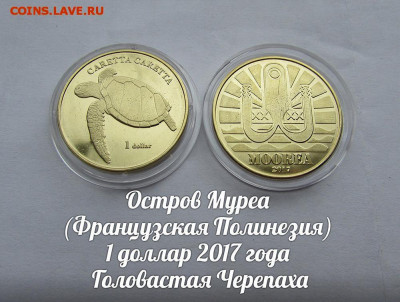 Остров Муреа 1 доллар 2017 Черепаха. До 19.11.в 22:00 - ю.JPG