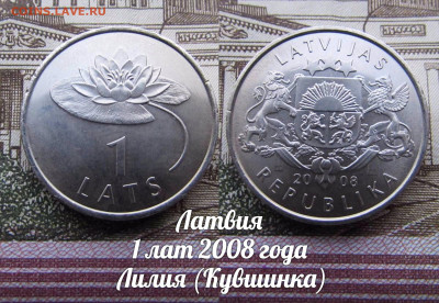 Латвия 1 лат 2008 Лилия (Кувшинка). До 19.11. в 22:00 - ю.JPG
