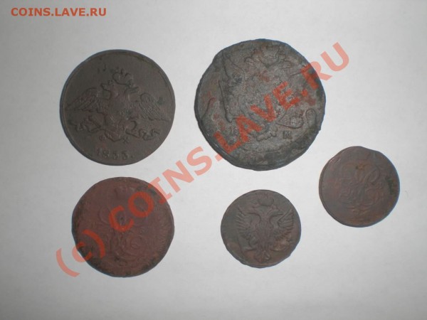 Царская Медь - P5050008_thumb
