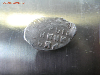 Чешуйки на опознание и оценку - IMG_7533.JPG