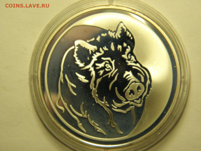 3 рубля 2007 г(Кабан серебро) до 22.11.19 21-00 - P1010293.JPG