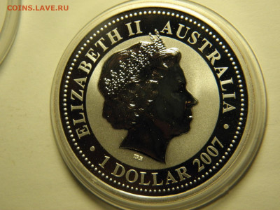 Австралия 1 доллар 2007г (тигр)  до 22.11.19  21-00 - P1010297.JPG