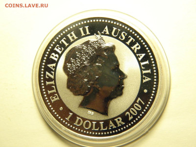 Австралия 1 доллар 2007г (тигр)  до 22.11.19  21-00 - P1010301.JPG
