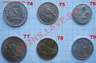 ЭКЗОТИКА!!! МНОГО ВСЯКОЙ РАЗНОЙ!!! ПОСТОЯННОЕ ПОПОЛНЕНИЕ !!! - 74-79-1.JPG