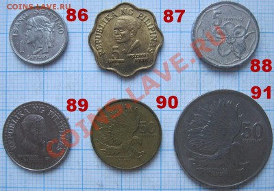 ЭКЗОТИКА!!! МНОГО ВСЯКОЙ РАЗНОЙ!!! ПОСТОЯННОЕ ПОПОЛНЕНИЕ !!! - 86-91-1.JPG