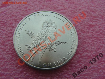 -Казахстан- 2011 и не только - 1739096411