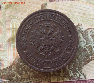 5 копеек 1911 СПБ до 20.11.2019 в 22.00 МСК - 100_2921.JPG