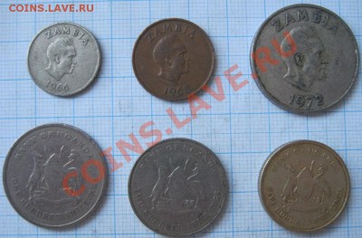 ЭКЗОТИКА!!! МНОГО ВСЯКОЙ РАЗНОЙ!!! ПОСТОЯННОЕ ПОПОЛНЕНИЕ !!! - 103-108-2.JPG