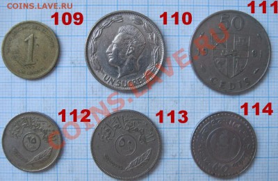 ЭКЗОТИКА!!! МНОГО ВСЯКОЙ РАЗНОЙ!!! ПОСТОЯННОЕ ПОПОЛНЕНИЕ !!! - 109-114-1.JPG
