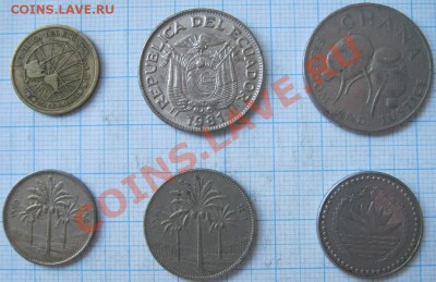 ЭКЗОТИКА!!! МНОГО ВСЯКОЙ РАЗНОЙ!!! ПОСТОЯННОЕ ПОПОЛНЕНИЕ !!! - 109-114-2.JPG