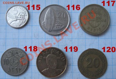 ЭКЗОТИКА!!! МНОГО ВСЯКОЙ РАЗНОЙ!!! ПОСТОЯННОЕ ПОПОЛНЕНИЕ !!! - 115-120-1.JPG