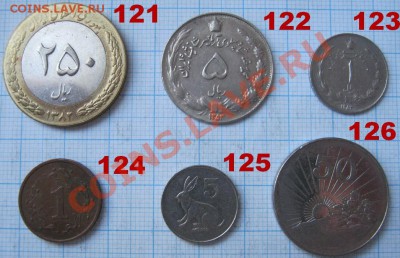 ЭКЗОТИКА!!! МНОГО ВСЯКОЙ РАЗНОЙ!!! ПОСТОЯННОЕ ПОПОЛНЕНИЕ !!! - 121-126-1.JPG
