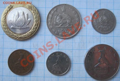 ЭКЗОТИКА!!! МНОГО ВСЯКОЙ РАЗНОЙ!!! ПОСТОЯННОЕ ПОПОЛНЕНИЕ !!! - 121-126-2.JPG