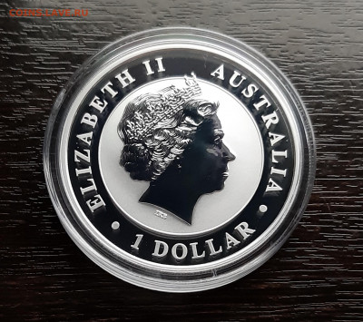 1 $. Австралия, Кукабарра - 2018, до 20.11.2019г в 22.00 - 20191118_005051
