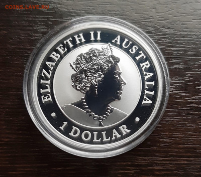 1 $. Австралия, Коала - 2019, до 20.11.2019г в 22.00 - 20191118_004759