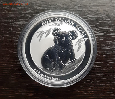 1 $. Австралия, Коала - 2019, до 20.11.2019г в 22.00 - 20191118_005015