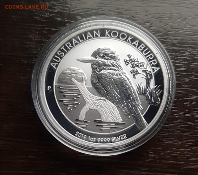 1 $. Австралия, Кукабарра - 2019, до 20.11.2019г в 22.00 - 20191118_004742