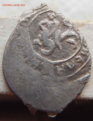 самсон - DSCN2891.JPG