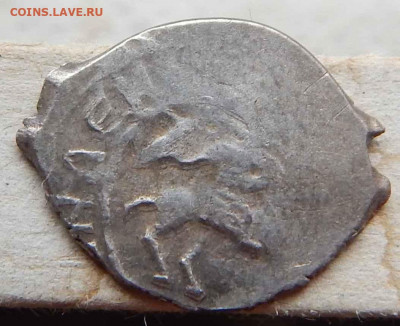 самсон - DSCN2892.JPG