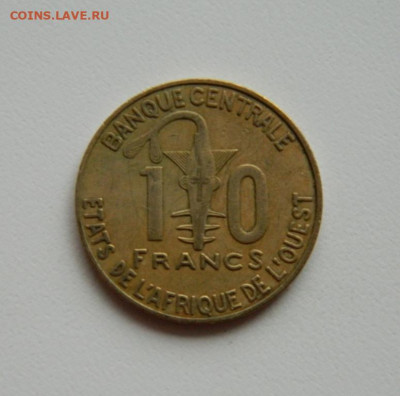 Западная Африка (ВСЕАО) 10 франков 2009 г. (ФАО). до 21.11. - DSCN9977.JPG