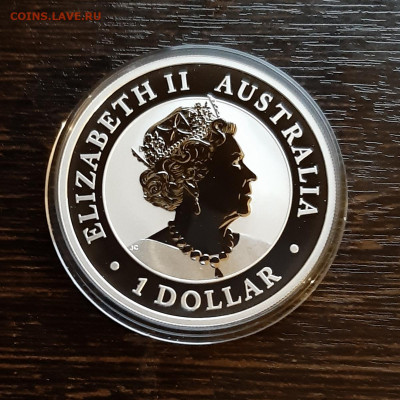 1 $. Австралия, Коала - 2019, до 20.11.2019г в 22.00 - 20191118_195348