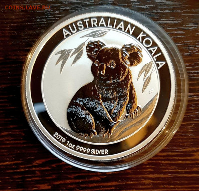 1 $. Австралия, Коала - 2019, до 20.11.2019г в 22.00 - 20191118_195450