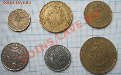 ЭКЗОТИКА!!! МНОГО ВСЯКОЙ РАЗНОЙ!!! ПОСТОЯННОЕ ПОПОЛНЕНИЕ !!! - 127-132-2.JPG
