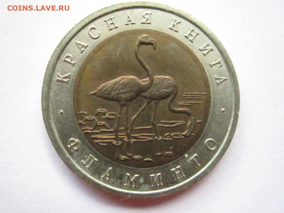 с200 КК ФЛАМИНГО 50 руб 1994 до 24.11.19 в 22:30 - IMG_0160.JPG