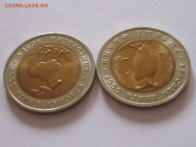 5 рублей 1991 КК филин козёл штемпельный блеск 21.11 22:05 - IMG_5090.JPG