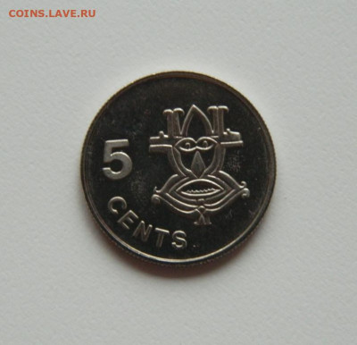 Соломоновы острова 5 центов 1996 г.(без оборота) до 21.11.19 - DSCN0028.JPG