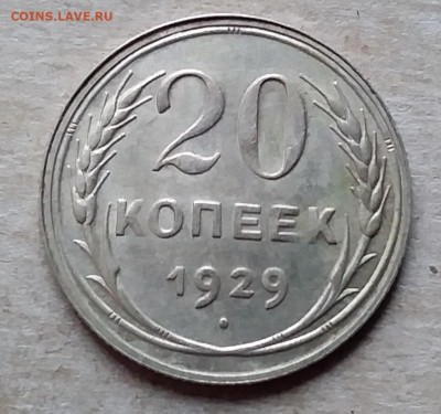 20 копеек 1929. До 23.11.19 в 22.00 - 20191120_120744