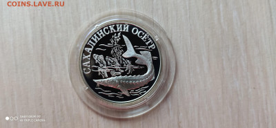 Красная книга 1 Рубль 2001 Сахалинский Осётр до 27.11 22.10 - IMG_20191121_160725