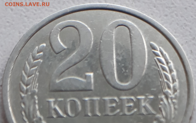 20 копеек 1981 определение разновидности - 20191122_112855.jpg