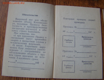 Серёжка ВИШЕНКА серебряная - 925 пробы до 26.11.2019г 21-00 - DSC07133.JPG