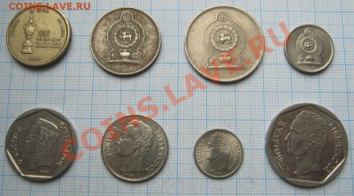 ЭКЗОТИКА!!! МНОГО ВСЯКОЙ РАЗНОЙ!!! ПОСТОЯННОЕ ПОПОЛНЕНИЕ !!! - 139-146-2.JPG