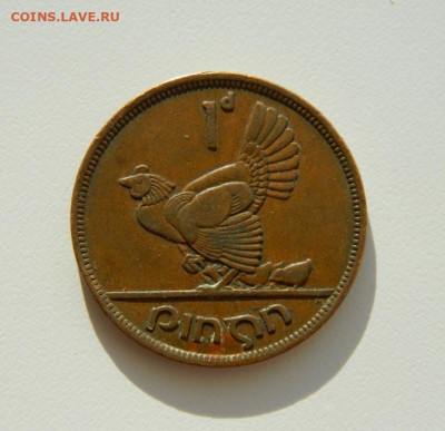 Ирландия 1 пенни 1942 г. (Фауна крупная. до 26.11.19 - DSCN9954.JPG