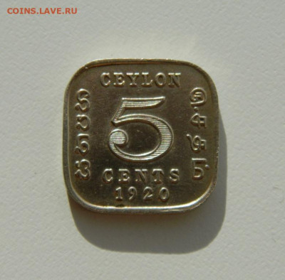 Британский Цейлон 5 центов 1920 г. до 26.11.19 - DSCN9968.JPG