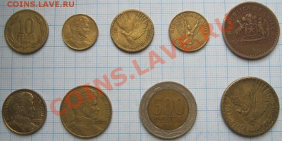 ЭКЗОТИКА!!! МНОГО ВСЯКОЙ РАЗНОЙ!!! ПОСТОЯННОЕ ПОПОЛНЕНИЕ !!! - 147-155-2.JPG