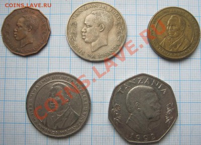 ЭКЗОТИКА!!! МНОГО ВСЯКОЙ РАЗНОЙ!!! ПОСТОЯННОЕ ПОПОЛНЕНИЕ !!! - 156-160-2.JPG