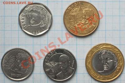 ЭКЗОТИКА!!! МНОГО ВСЯКОЙ РАЗНОЙ!!! ПОСТОЯННОЕ ПОПОЛНЕНИЕ !!! - 175-179-2.JPG
