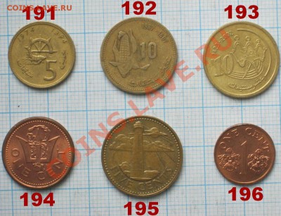 ЭКЗОТИКА!!! МНОГО ВСЯКОЙ РАЗНОЙ!!! ПОСТОЯННОЕ ПОПОЛНЕНИЕ !!! - 191-196-1.JPG