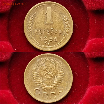1 копейка 1956 год. До 29.11 - IMG_20191124_224221