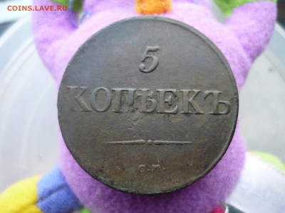 2 1846 предпродажная - P1200670.JPG