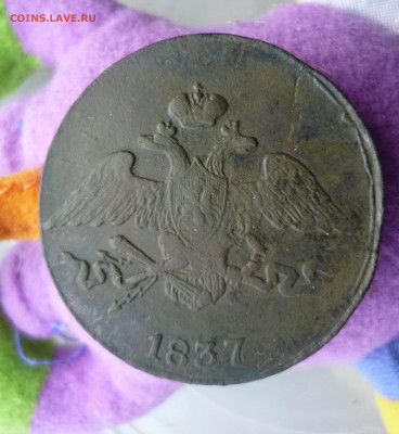 2 1846 предпродажная - P1200671.JPG
