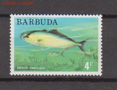 Барбуда 1м ** рыбы до 30 11 - 629