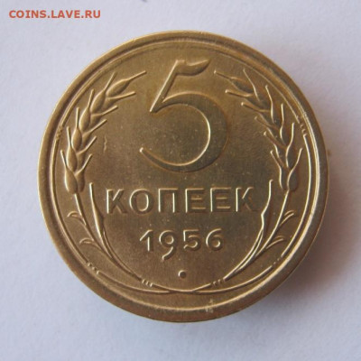 5 копеек 1956 г. до 30.11 в 22-00. - IMG_5293.JPG