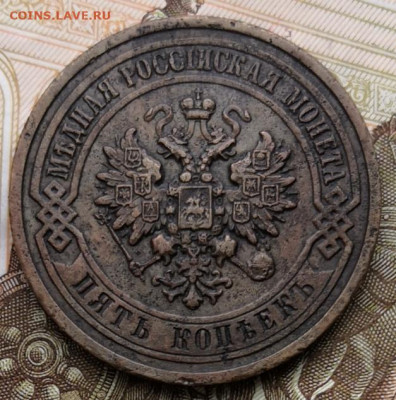 5 копеек 1911 года до 02.12.2019 года в 22-00 мск - IMG_20191126_141501